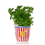 Jarrón palomitas | BIT011