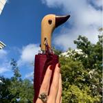 Paraguas pato granate | ORG013