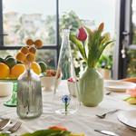 Botella agua anémona | BAL0549