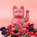 Gato de la suerte mora | DON033