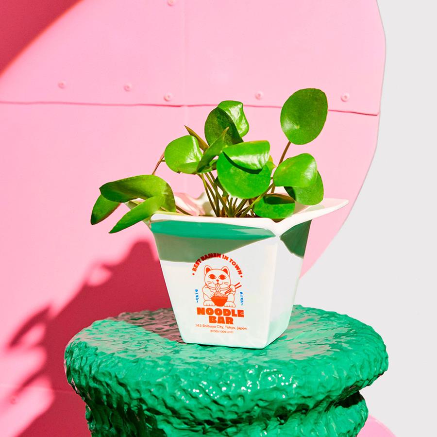 Jarrón ramen | FLU024