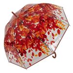 Paraguas transparente otoño | CMP052