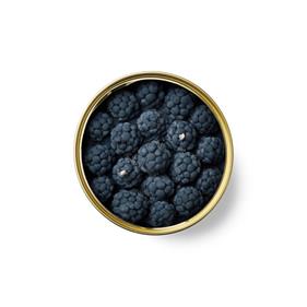 Vela gourmet mora | CAN001